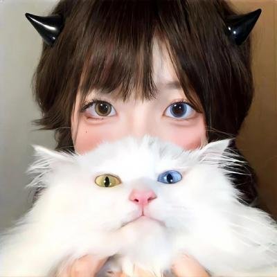 蔷薇处处香
