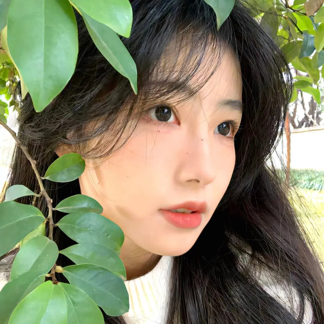 海蓝时见鲸